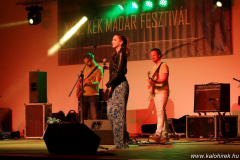 XXV-Kek-Madar-Fesztival-2017-Besh-O-Drom-18
