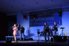 XXV-Kek-Madar-Fesztival-2017-Zseda-04
