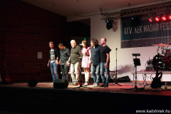 XXV-Kek-Madar-Fesztival-2017-Zseda-17