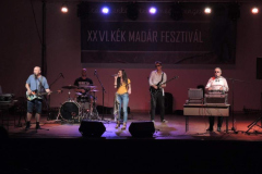 XXVI-Kek-Madar-Fesztival-2018-Balkan-Fanatik-07
