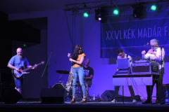XXVI-Kek-Madar-Fesztival-2018-Balkan-Fanatik-23