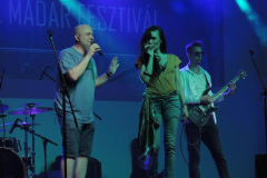 XXVI-Kek-Madar-Fesztival-2018-Balkan-Fanatik-36
