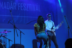 XXVI-Kek-Madar-Fesztival-2018-Balkan-Fanatik-37