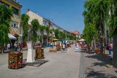 XXVI-Kek-Madar-Fesztival-2018-Kezmuves-vasar-12