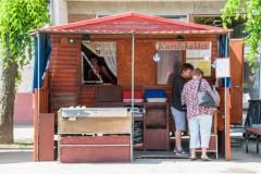 XXVI-Kek-Madar-Fesztival-2018-Kezmuves-vasar-17