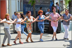 XXVI-Kek-Madar-Fesztival-2018-Zabavna-Industrija-es-flash-mob-02