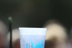 kek-madar-fesztival-2023-06-04_054