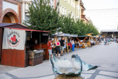 XXXII-Kek-Madar-Fesztival-2024-127
