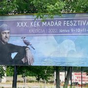 XXX. Kék Madár Fesztivál