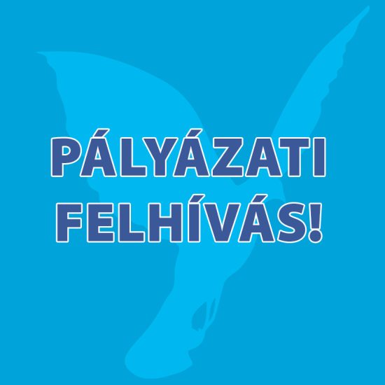 PÁLYÁZATI FELHÍVÁS 2026 – súlyosan és tartósan beteg gyermekek gyógykezelésére, rehabilitációjára