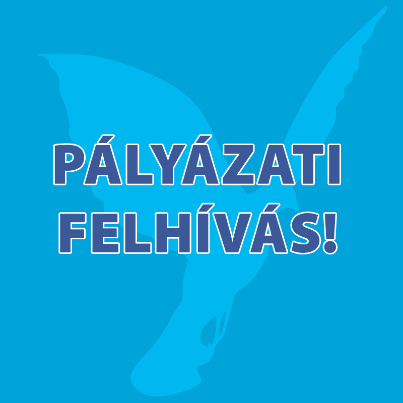 PÁLYÁZATI FELHÍVÁS 2026 – súlyosan és tartósan beteg gyermekek gyógykezelésére, rehabilitációjára